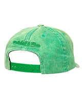 Mitchell & Ness Men's Green Milwaukee Bucks Washed Out Tonal Logo Snapback Hat