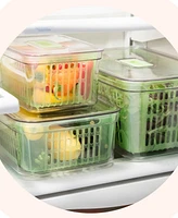 Oggi Store Fresh 12.25" x 8" x 6" Veggie Bin