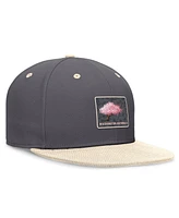 Nike Men's Graphite/Natural Washington Nationals City Connect True Fitted Hat