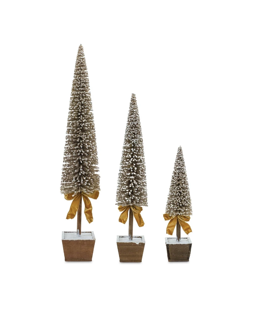 Slickblue Potted Bottle Brush Pine Tree (Set of 3)