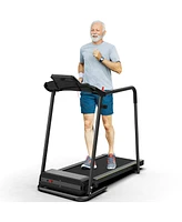 Redliro Walking Treadmill with Long Handrail for Balance, Recovery Fitness Exercise Machine Foldable for Home use