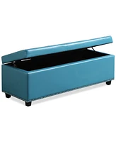 Hayes Faux Leather Storage Ottoman