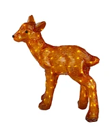 Northlight Acrylic Reindeer Christmas Display Decoration - 23-Inch