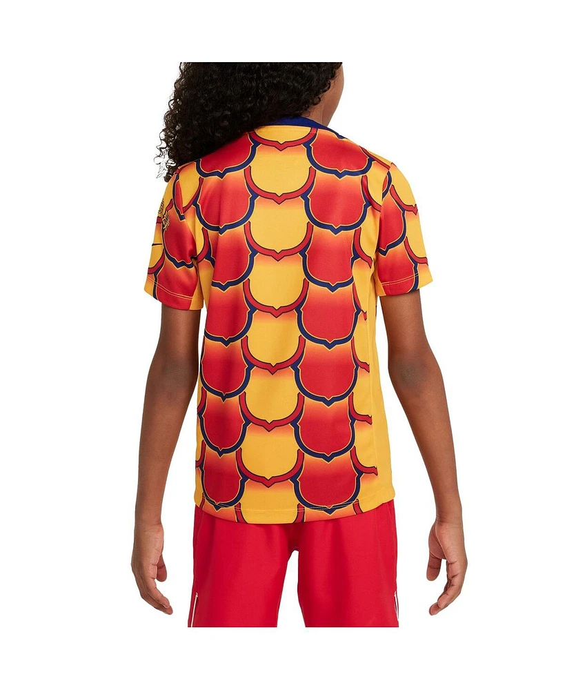 Nike Big Boys and Girls Gold Barcelona 2023/24 Drac Pack Academy Pro Pre-Match Top