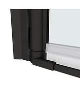 1 3/8" Adjustable Universal Pivot Shower Door, 1/4" Tempered Glass