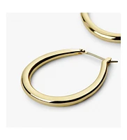 Ana Luisa Gold Hoop Earrings - Cuidado