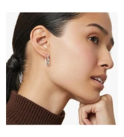 Ana Luisa - Silver Hoop Earrings - Rox Small Silver