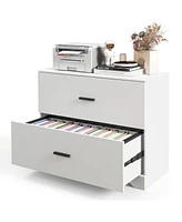 Slickblue 2-Drawer Lateral File Cabinet with Adjustable Bars for Home and Office