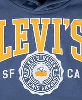 Levi's Toddler and Little Boys Sporty Pullover Hoodie