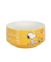 Peanuts Snoopy 4 Pack Stackable 5.5" Decorate Stoneware Bowl Set