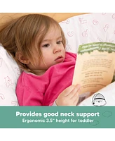 Toddler Pillow with Pillowcase
