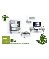 Illia Floating Wall Decor Wall Mounted Rustic Decorative Hanging Shelf For Books, Set Of 2