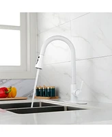 Streamdale Furniture Kitchen Faucet With Pull Out Sprayer