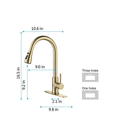 Streamdale Furniture Kitchen Faucet With Pull Out Sprayer