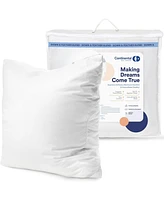 Continental Bedding 18x18 Set of 2 Luxury Throw Pillow Insert 10% down 90% Feather