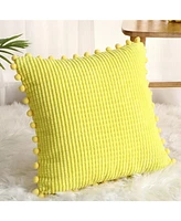 Caromio 2Pcs Pom Pom Decorative Throw Pillow Covers 18" x 18"