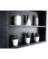 Stylish 20x28" Black Metal Framed Bathroom Mirror Cabinet