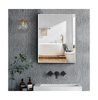 Invisible Handle, Soft-Close, Adjustable Mirror Cabinet (20x26")