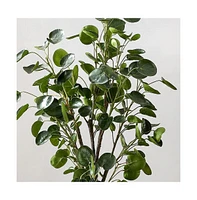 Safavieh Faux Polyscias Fruticosa Potted Tree