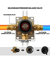 Boyel Living Single Function Pressure Balance Valve with Single Handle Trim Kit