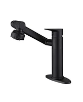 Boyel Living Single Handle Single Hole 2-Spray Swivelable Stainless Steel Bathroom Faucet with Deckplate Included in Matte Black