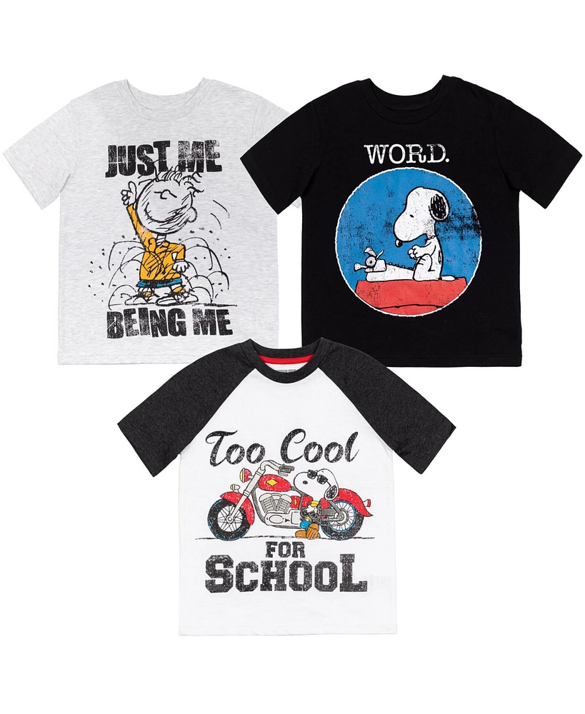 Peanuts Boys Woodstock Snoopy Charlie Brown 3 Pack T-Shirts to