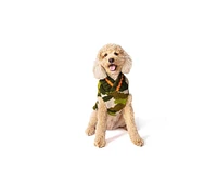 Chilly Dog Camo Sweater