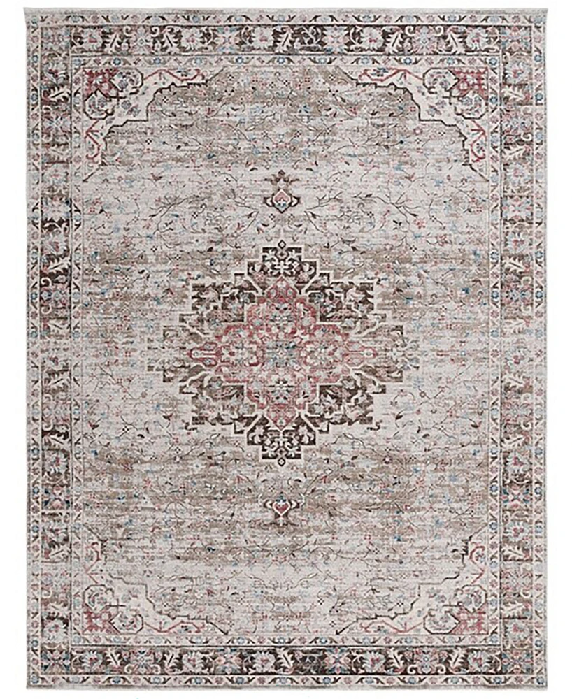 Safavieh Antique Patina ANP642B 9'x11'6" Area Rug