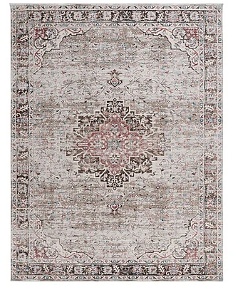 Safavieh Antique Patina ANP642B 9'x11'6" Area Rug