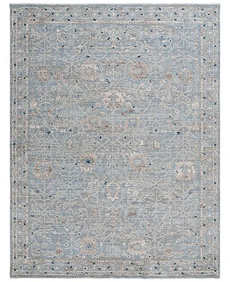 Safavieh Antique Patina ANP656M 8'x9'6" Area Rug