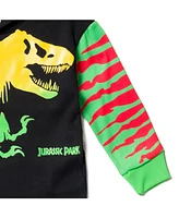 Jurassic World Dinosaur T-Rex Fleece Pullover Hoodie Toddler to Big Kid