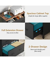 Tribesigns 2-Drawer File Cabinet, Wood Lateral Filing Cabinet, Home Office File Cabinet for A4, Letter Size
