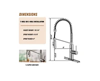 Casainc 1.8 Gpm Spring Neck Pull Down Kitchen Faucet with Deck Plate