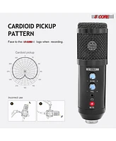 5 Core Podcast Microphone Bundle Usb Condenser Pc Mic Recording Studio Equipment Gaming Streaming