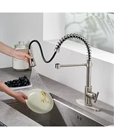 Casainc 1.8 Gpm Britt Commercial Style Pull Down Single Handle Kitchen Faucet