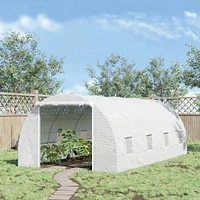 Streamdale Furniture 20'x10' Walk-In Tunnel Greenhouse Kit