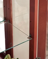 Simplie Fun Lighted Display Cabinet with Glass Doors and Adjustable Shelves