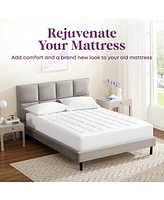 Circles Home Circleshome Ultra-Plush Down Alternative Cotton Top Mattress Pad White California King