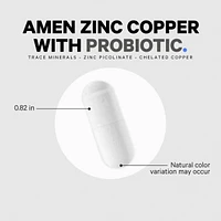 Amen Zinc & Copper Supplement + Probiotics � 3 Months Supply � One Per Day - 50 mg Zinc Picolinate Vitamin Pills