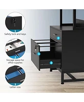 Tribesigns 2 Drawer Vertical File Cabinet with Lock & Bookshelf, Letter Large Modern Filing Printer Stand Open Storage Shelves for H