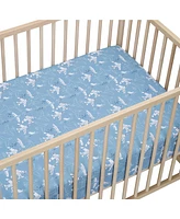 Bedtime Originals Airplane/Stars Aviation 2-Pack Fitted Crib/Toddler Sheet Set