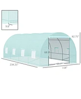 Streamdale Furniture 20' Walk-In Tunnel Greenhouse with 8 Windows & Steel Frame