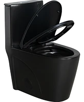 1.1 Gpf Dual-Flush Toilet with Soft Close Seat and Matte Black Finish