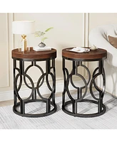 Tribesigns Round End Table Set of 2, Industrial Side Table with Metal Hollow Frame, Small Bedside Table Nightstand for Living Room, Bedroom, Easy Asse