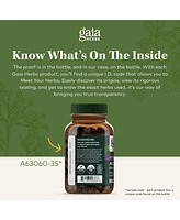 Gaia Herbs Kava Root - Helps Sustain a Sense of Natural Calm and Relaxation During Times of Stress - Made With Noble Kava Cultivars - 60 Liquid Phyto