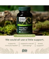 Gaia Herbs Astragalus Supreme - Immune and Antioxidant Support Herbal Supplement - With Astragalus Root, Schisandra Berry, and Ligustrum