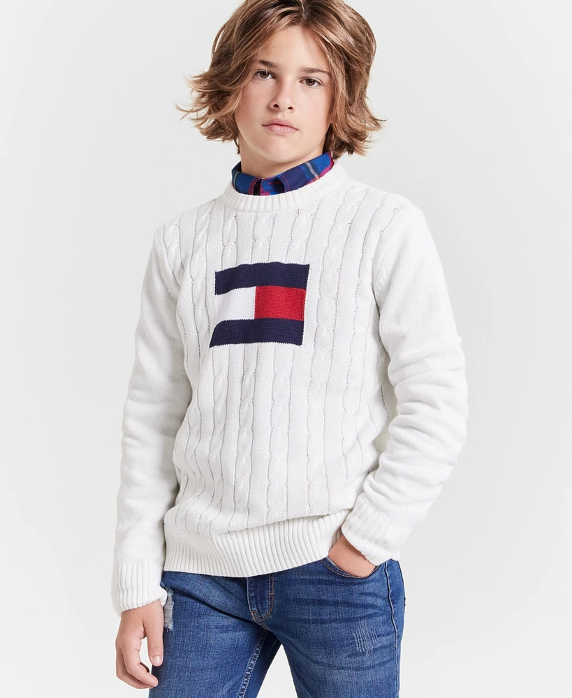 Tommy Hilfiger Toddler and Little Boys Flag Crew Sweater