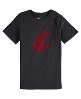 Nike Big Boys and Girls Anthracite Washington State Cougars Cotton Logo T-Shirt