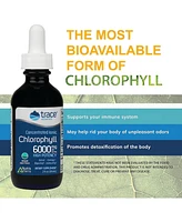 Trace Minerals Concentrated Ionic Chlorophyll | Supports & Immune Function | Antioxidant | Supports Blood & Energy | Mint Flavored | 2.0oz 6,000mg/bot