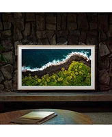 Samsung QN65LS03DA 65" 4K The Frame Qled Hdr Smart Tv (2024) with Hw-S801D 3.1.2-Channel Soundbar and Wireless Subwoofer (White)